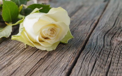 ¿Cuáles son los servicios de una empresa funeraria?